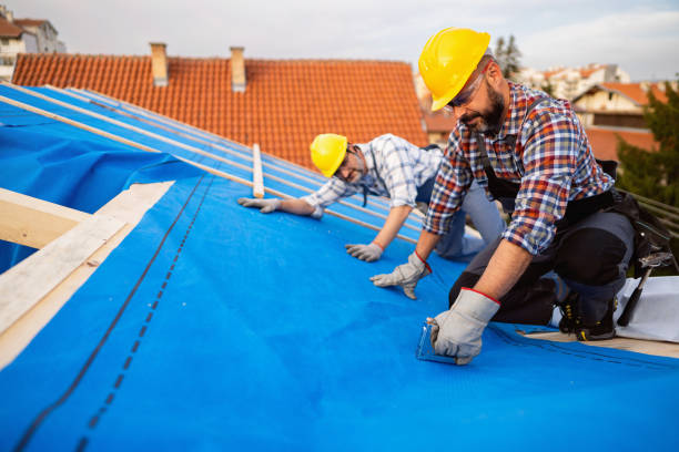 Professional Roofing Contractor in Fowlkes, TN