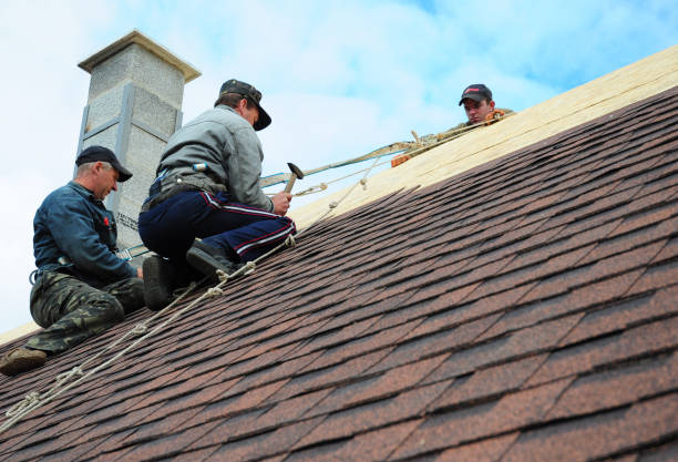 Best Local Roofing Companies  in Fowlkes, TN
